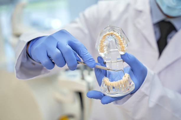 istock Dental specialsit touching model of teeth with pick 1297019142