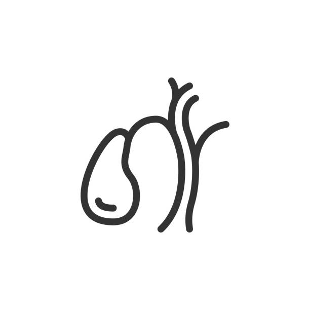 Gallbladder Clipart