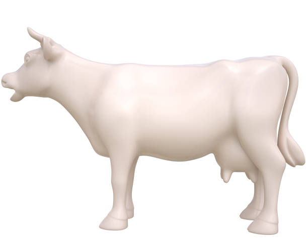 istock Creamy milky cow on white background 1297021281