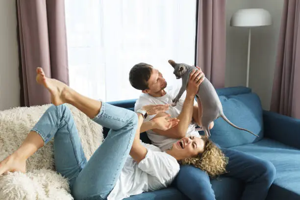 Young beautiful couple with their lovely cat relaxing at home