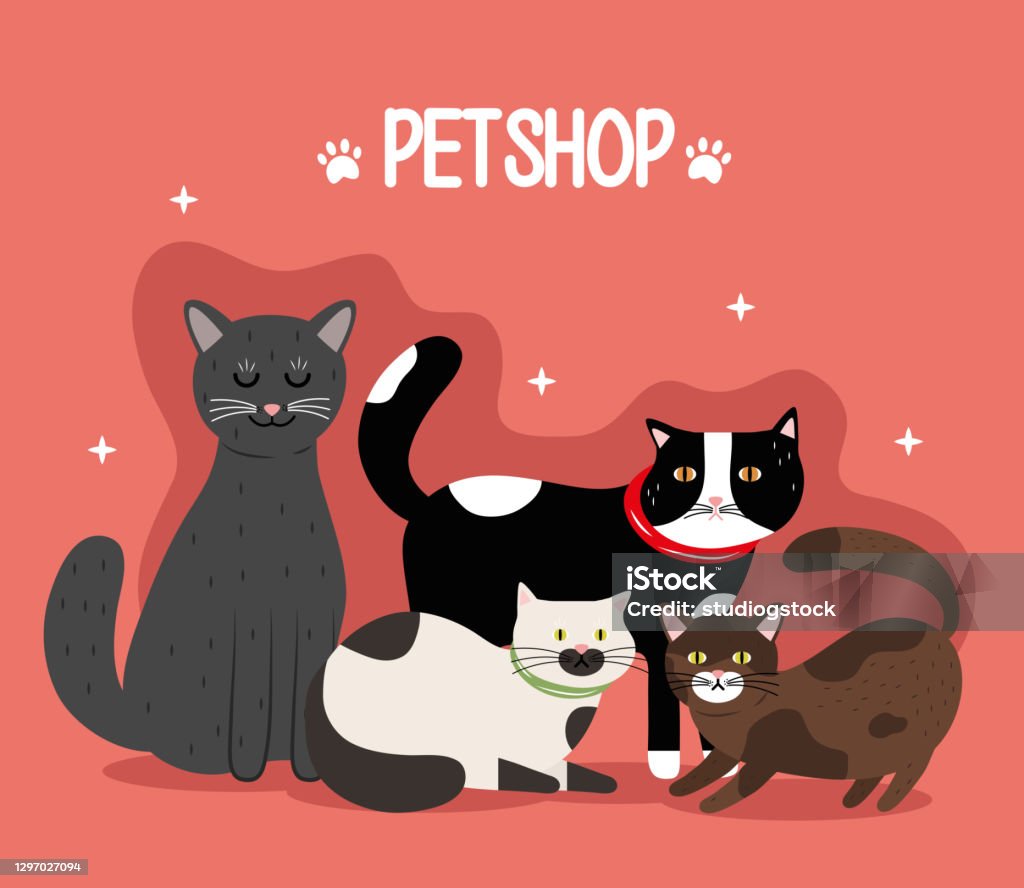 Four Color Cat Bundle Of Four Cats Differents Colors Mascots And Lettering Stock ...