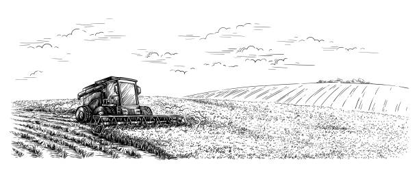 sketch hand drawn harvesting from the field using a combine different stages of cleaning vector sketch hand drawn harvesting from the field using a combine different stages of cleaning vector illustration wheat ranch stock illustrations
