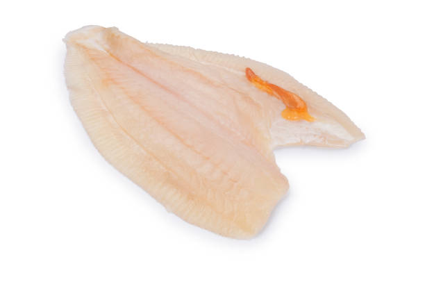 Studio shot of raw fillet of Brill, a member of the turbot family cut out against a white background.