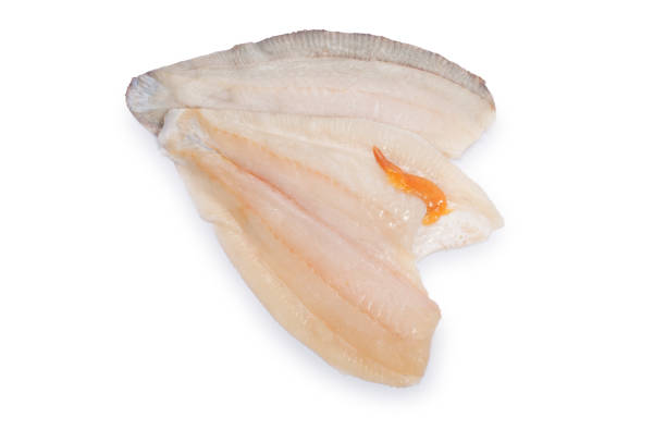 istock Fillet of Brill 1297032664