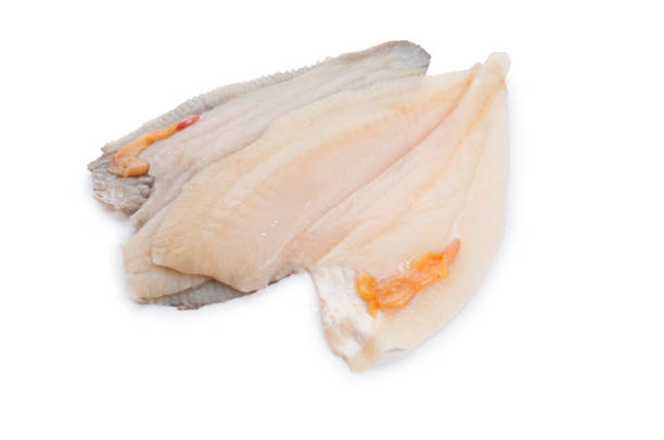 istock Fillet of Brill 1297032958