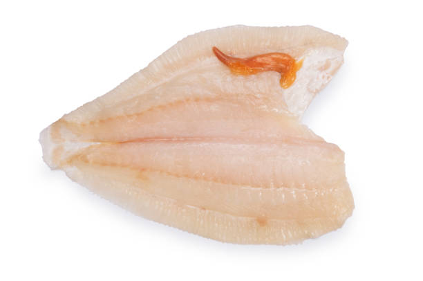 istock Fillet of Brill 1297033846