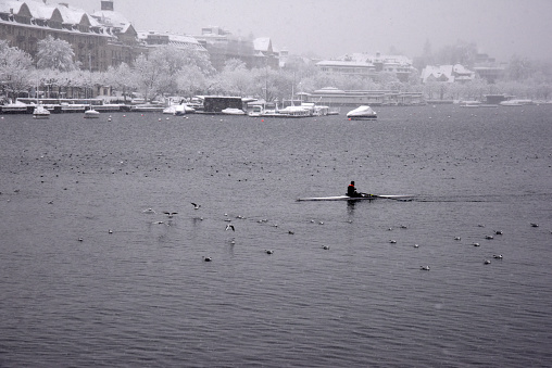 Boatman rowing on the lake during heavy snowfall. Around the boatman several seagulls sitting on the water. The image was captured at the lake of zurich.