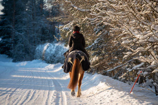 woman horseback riding in snowy forest in winter - winter snow livestock horse imagens e fotografias de stock