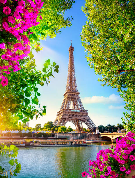 Eiffel Tower in spring Seine in Paris with Eiffel Tower during sunrise in spring seine river photos stock pictures, royalty-free photos & images