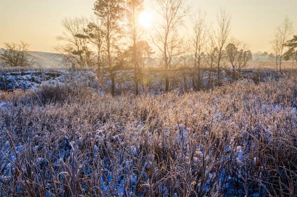 istock Frosty morning in the countryside. 1297043860