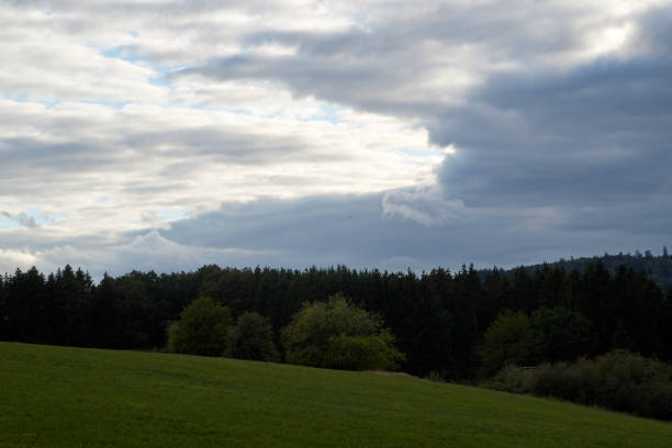 a ray of light breaks through the dramatic sky at sunset and hit an oak tree solitary.