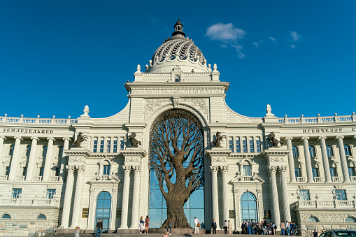 Ministry of Agriculture and Food (Palace of Farmers) in Kazan