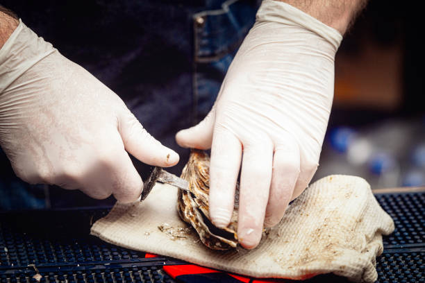 chef em luvas brancas shucking uma ostra fresca com faca. - prepared oysters prepared shellfish shucked seafood - fotografias e filmes do acervo