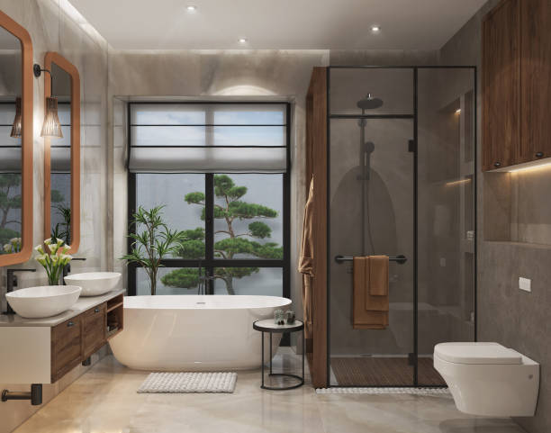 マスターバスルームのデザインのアイデア、3dレンダリング - master bathroom ストックフォトと画像