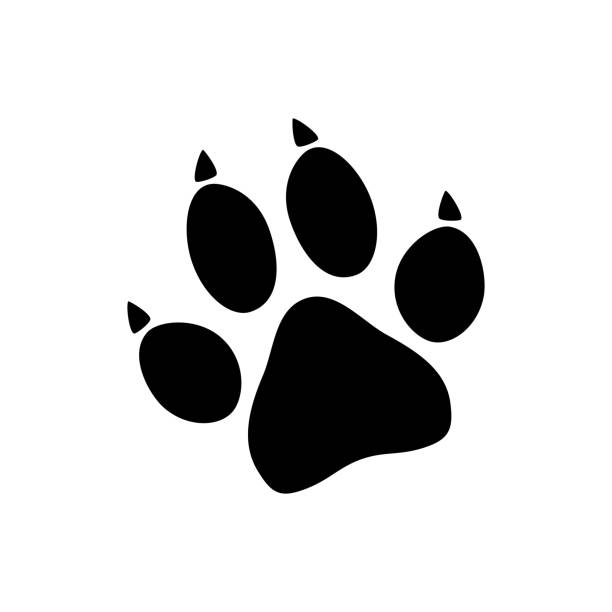 ilustraciones, imágenes clip art, dibujos animados e iconos de stock de impresión de pata de animal negro aislada sobre fondo blanco. ilustración vectorial - bulldog