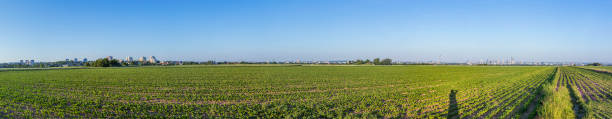 istock Panoramic view to Frankfurt am Main in horizon 1297057348