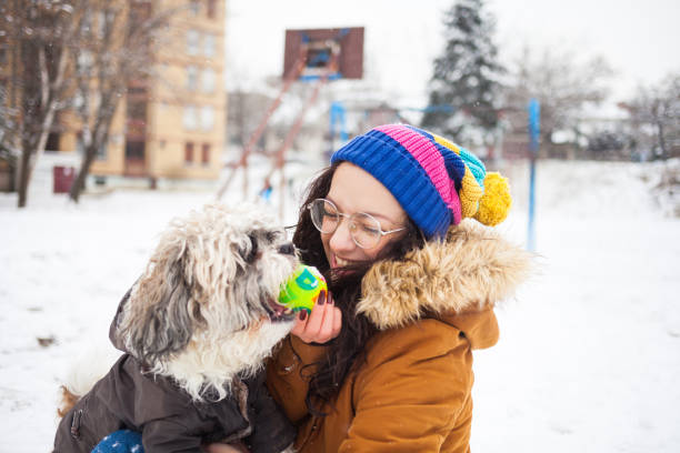A Wheaten Terrier is running towards the camera with snow surrounding her.