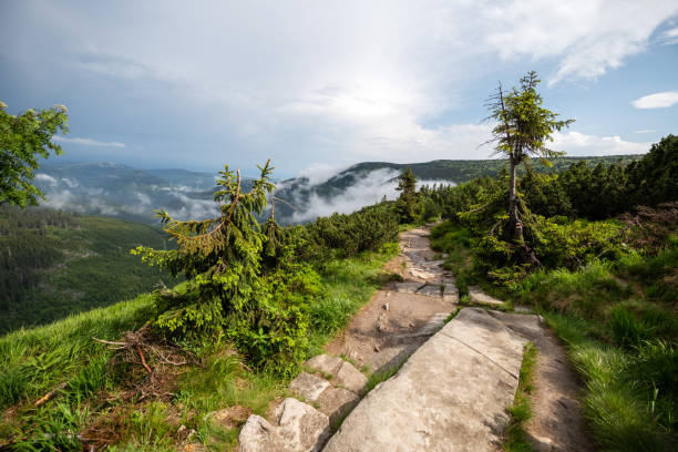 Czech Republic: Trees and rock in the Krkonose National Park and view into the elbe valley.