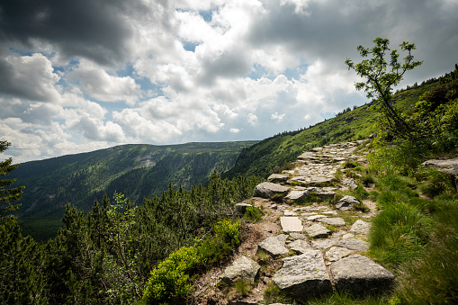 Czech Republic: Trees and rock in the Krkonose National Park and view into the elbe valley.