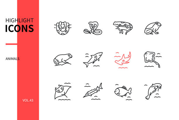 Animals collection - line design style icons set Animals collection - line design style icons set. Black and white items. A set of amphibians, fish, snakes. Python, cobra, salamander, toad, frog, shark, skate, sturgeon, piranha, catfish images catfish stock illustrations