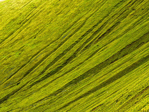 green field in early spring aerial drone view