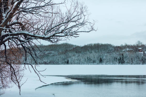 istock On a mild January day, a glimpse at bare tree branches in foreground and the Saint-Maurice river in background. 1297062551