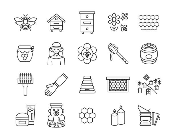 ilustraciones, imágenes clip art, dibujos animados e iconos de stock de conjunto de iconos de línea de apicultura. - honeyed