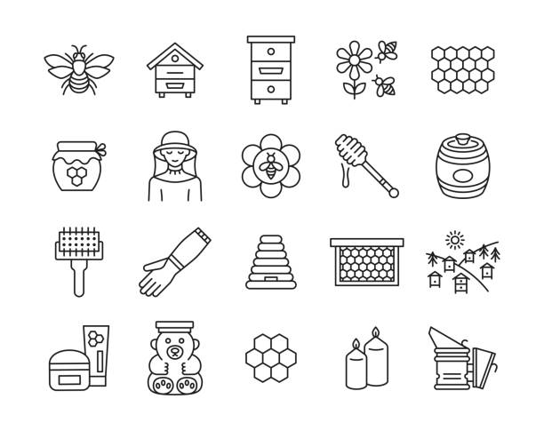 Beekeeping line icon set. Beekeeping line icon set. Collection sign with bee, hive, honey, beekeeper,equipment, apiary. Editable strokes. drop bear stock illustrations