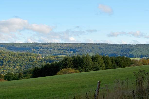 istock autumn landscape with colorful trees near Daun, Eifel 1297063896