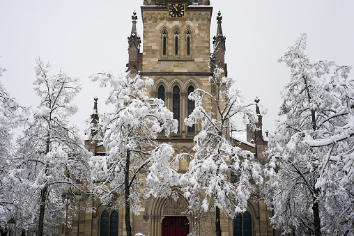 view of trees and alsatian church covered by the snow