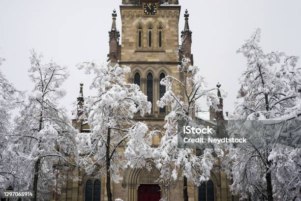 Trees And Alsatian Church Covered By The Snow Stock Photo - Download Image Now - Mulhouse, Winter, Alsace