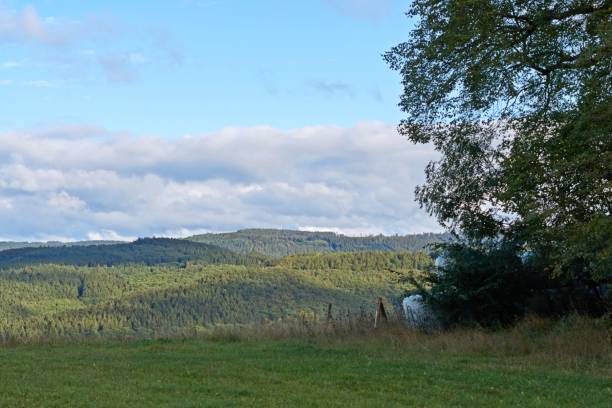 istock autumn landscape with colorful trees near Daun, Eifel 1297066584