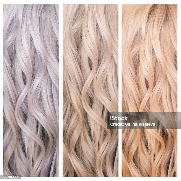 Blonde Hair Chart And Palette Stock Photo - Download Image Now - Blond Hair, Color Swatch, Hair - iStock Blonde Hair Chart And Palette Stock Photo - Download Image Now - Blond Hair, Color Swatch, Hair - iStock