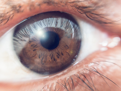 Close Up Of A Female Brown Eye