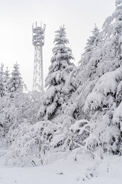 istock Snowy winter landscape scenery in the Black Forest 1297068866