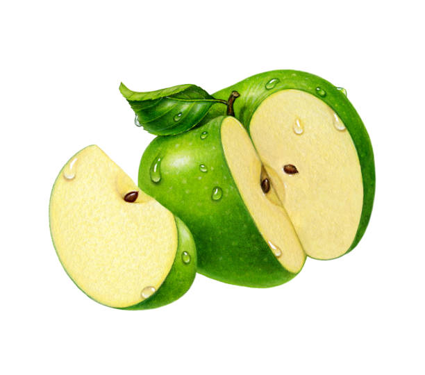Apple Green & Slice An illustration of a 3/4 cut Granny Smith Apple, with a slice on the left side. green apple slices stock illustrations