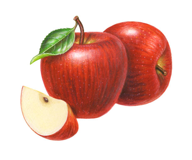 äpfel rot köstlich - red delicious apple red gourmet apple stock-grafiken, -clipart, -cartoons und -symbole