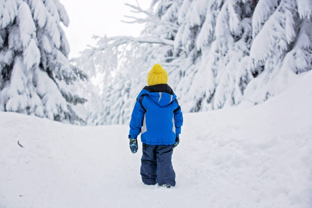 istock Sweet happy child, playing in deep snow 1297069764