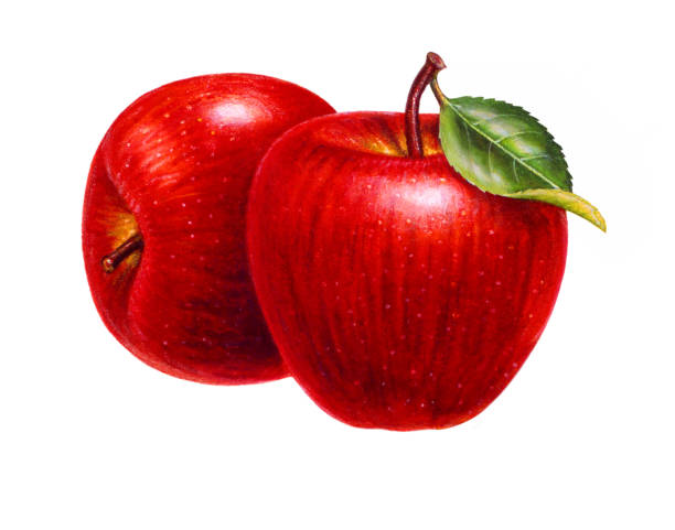 äpfel zwei - red delicious apple illustrations stock-grafiken, -clipart, -cartoons und -symbole