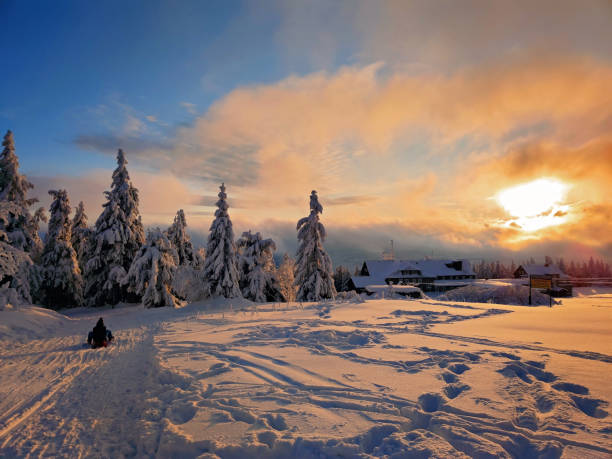 istock Beautiful winter scenic snowy landscape, trees and snow 1297069901