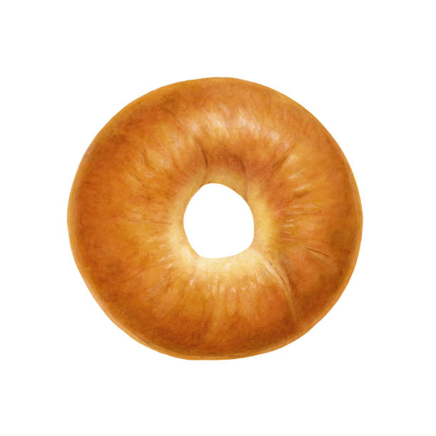 illustrazioni stock, clip art, cartoni animati e icone di tendenza di pianura di bagel - bagel bread isolated circle