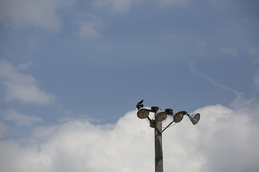 Large crow perched on field lights during cloudy weather