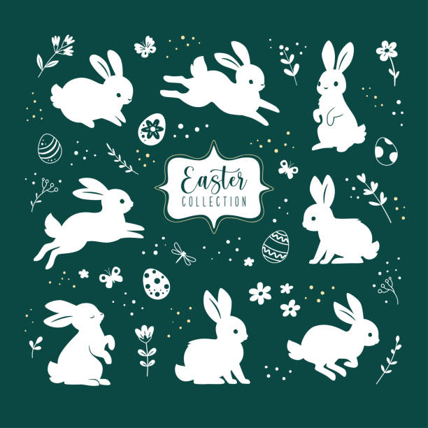 Collection of Easter bunnies. Vector illustration of cute cartoon white silhouettes of rabbits in different poses and actions: sitting, jumping lying. Isolated on dark green background baby rabbit stock illustrations