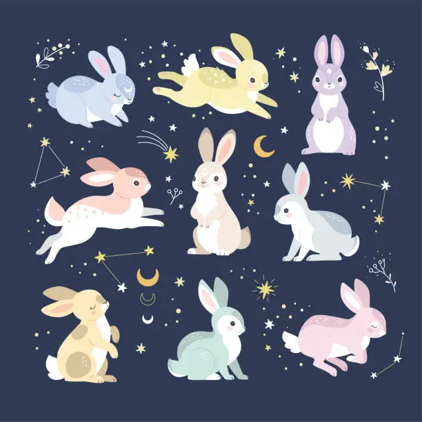 Vector illustration of Moon Rabbits collection.