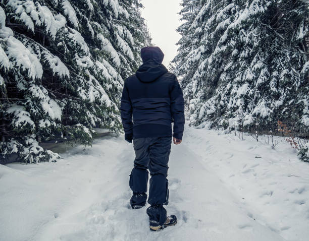 istock Back view with a hiker on a trail. Winter landscape with pine trees covered with snow in Carpathian Mountains, Romania 1297072341