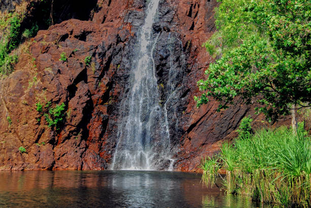 istock Waterfall At A Billabong In Australia 1297072989