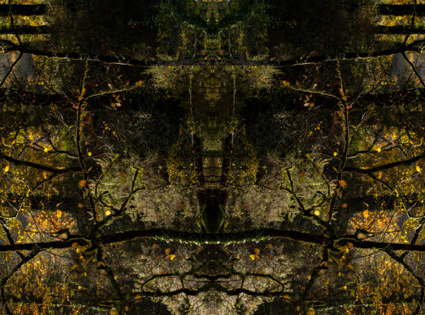 istock Psychedelic Rain Forest Faces, Symmetrical Kaleidoscope Mirror, Abstract Background. 1297073320
