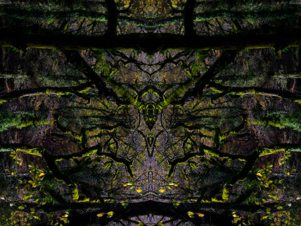 환각 열대 우림 얼굴, 대칭 만화경 거울, 추상적 인 배경. - kaleidoscope fractal psychedelic abstract 뉴스 사진 이미지