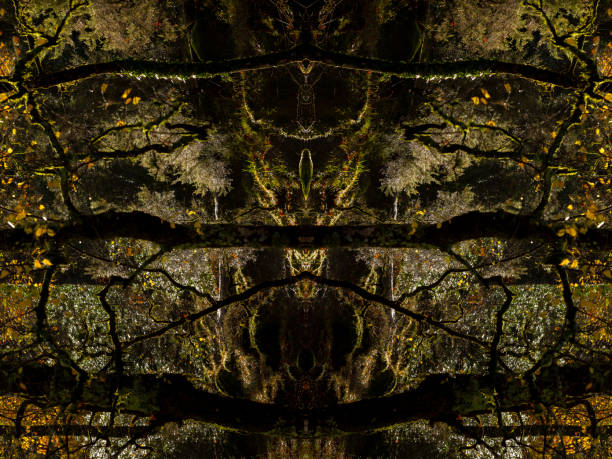 istock Psychedelic Rain Forest Faces, Symmetrical Kaleidoscope Mirror, Abstract Background. 1297073358
