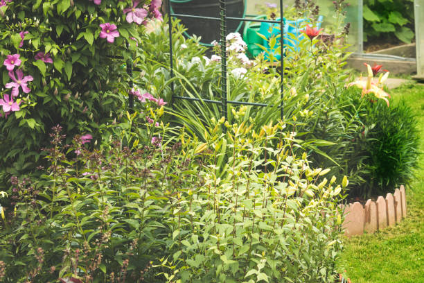 istock Beautiful garden with trees and flowers 1297074706